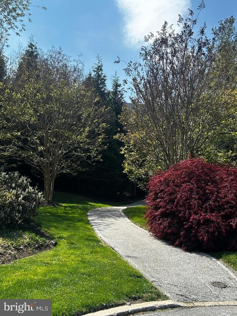 32 Cabot Court photo 39