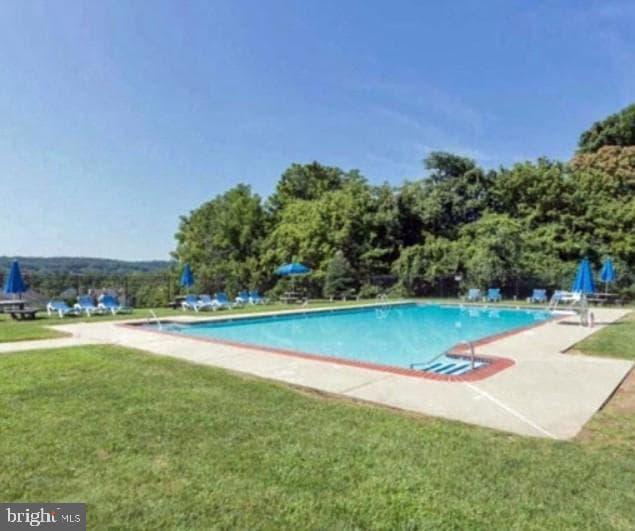 330 Carlyn Court photo 40