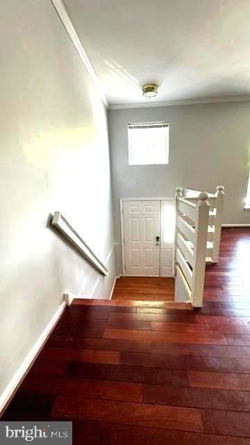 108 Stratford Ct photo 11
