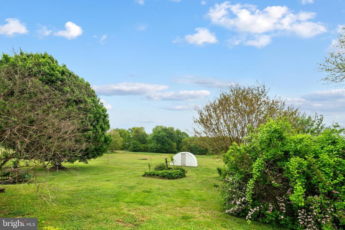 557 Media Road photo 3