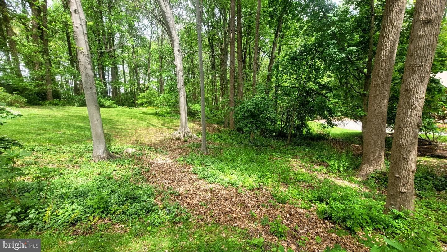 8 Adams Way photo 45