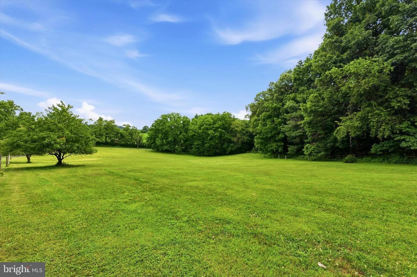 241 Glenrose Road photo 14