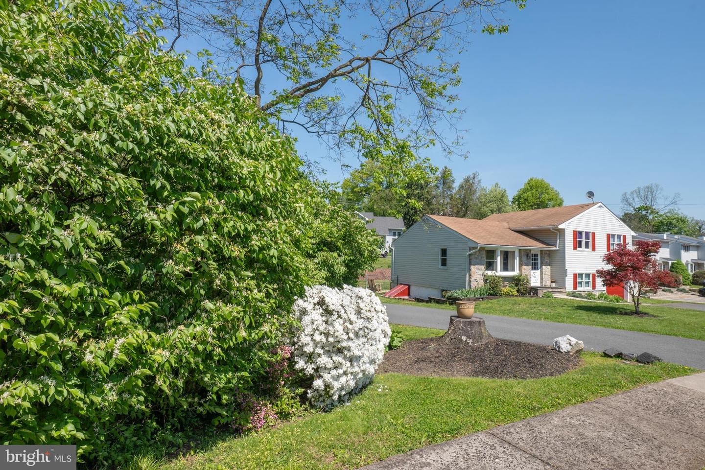 233 Poplar Street photo 5