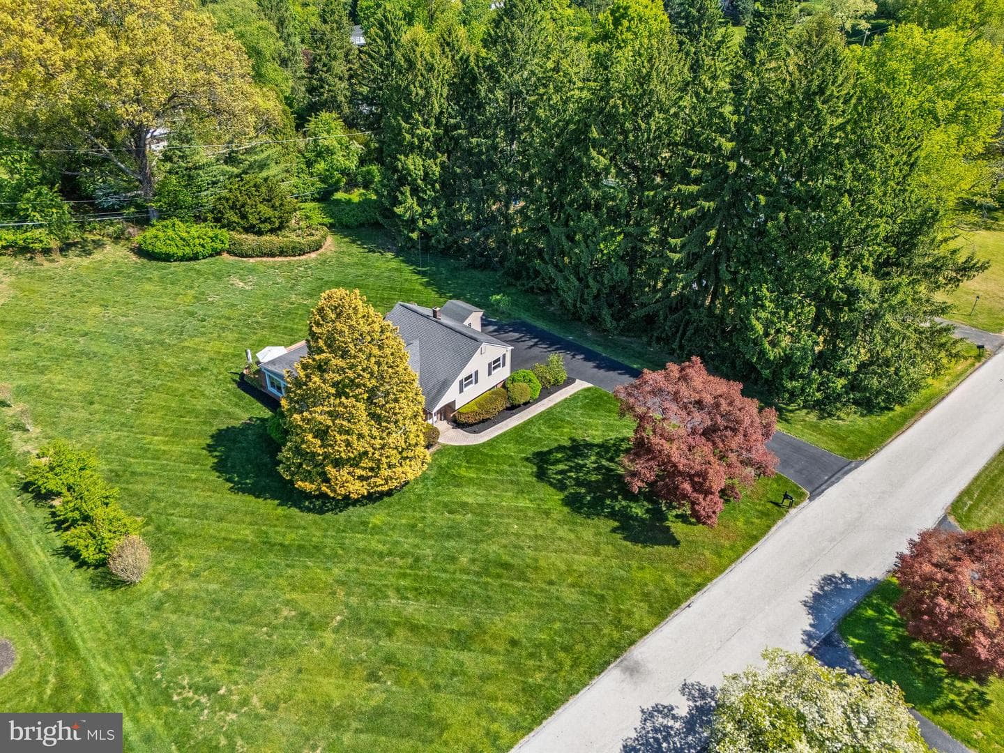205 Cheyney Drive photo 3