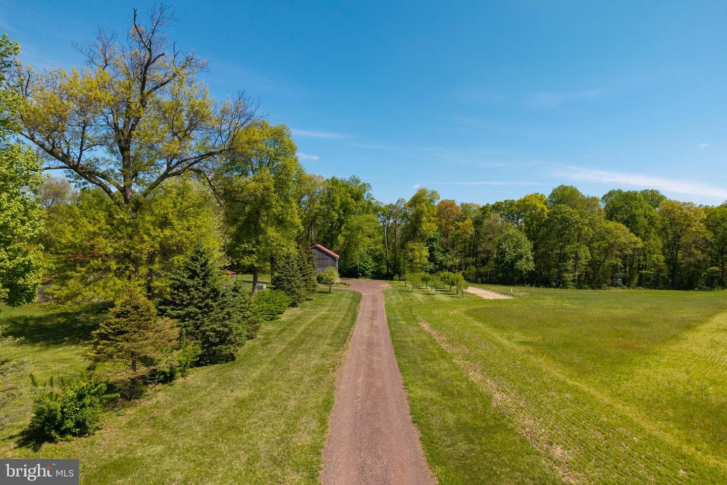 533 Mount Pleasant Road photo 3