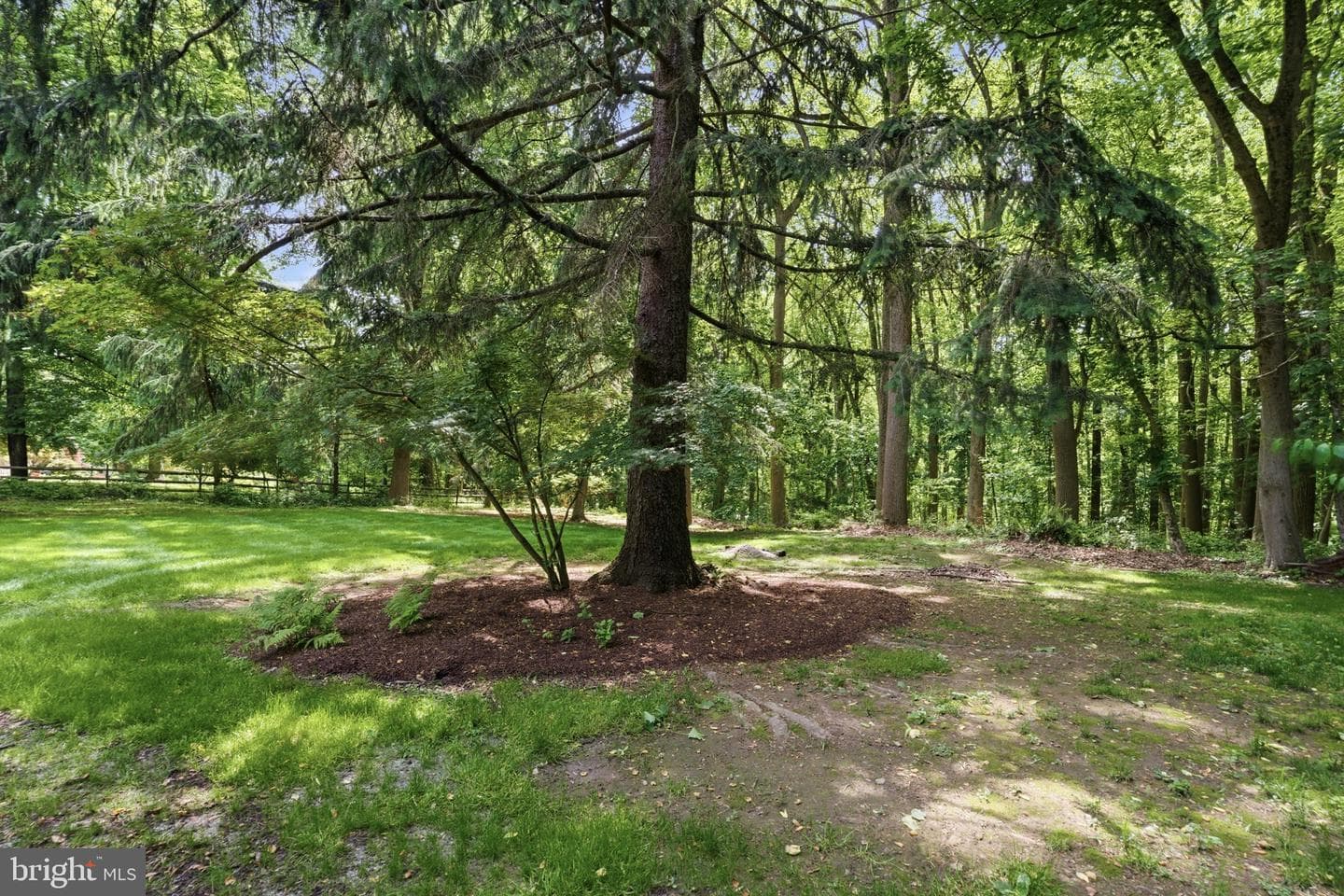 314 Oakbourne Road photo 95