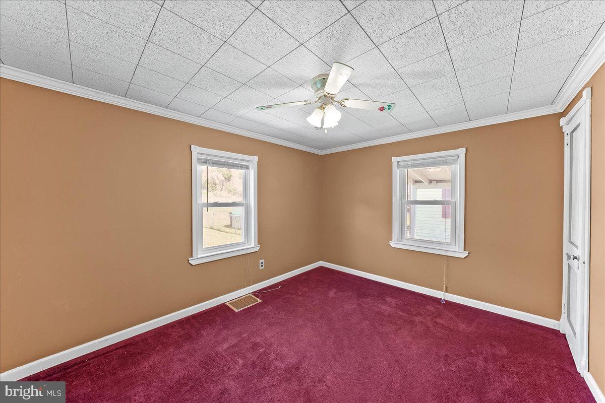 713 Charles Street photo 12
