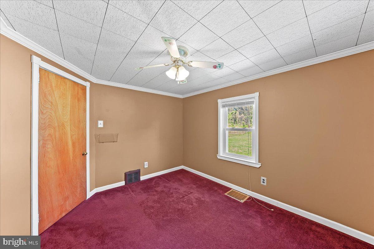 713 Charles Street photo 13
