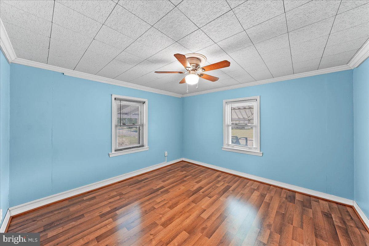 713 Charles Street photo 9
