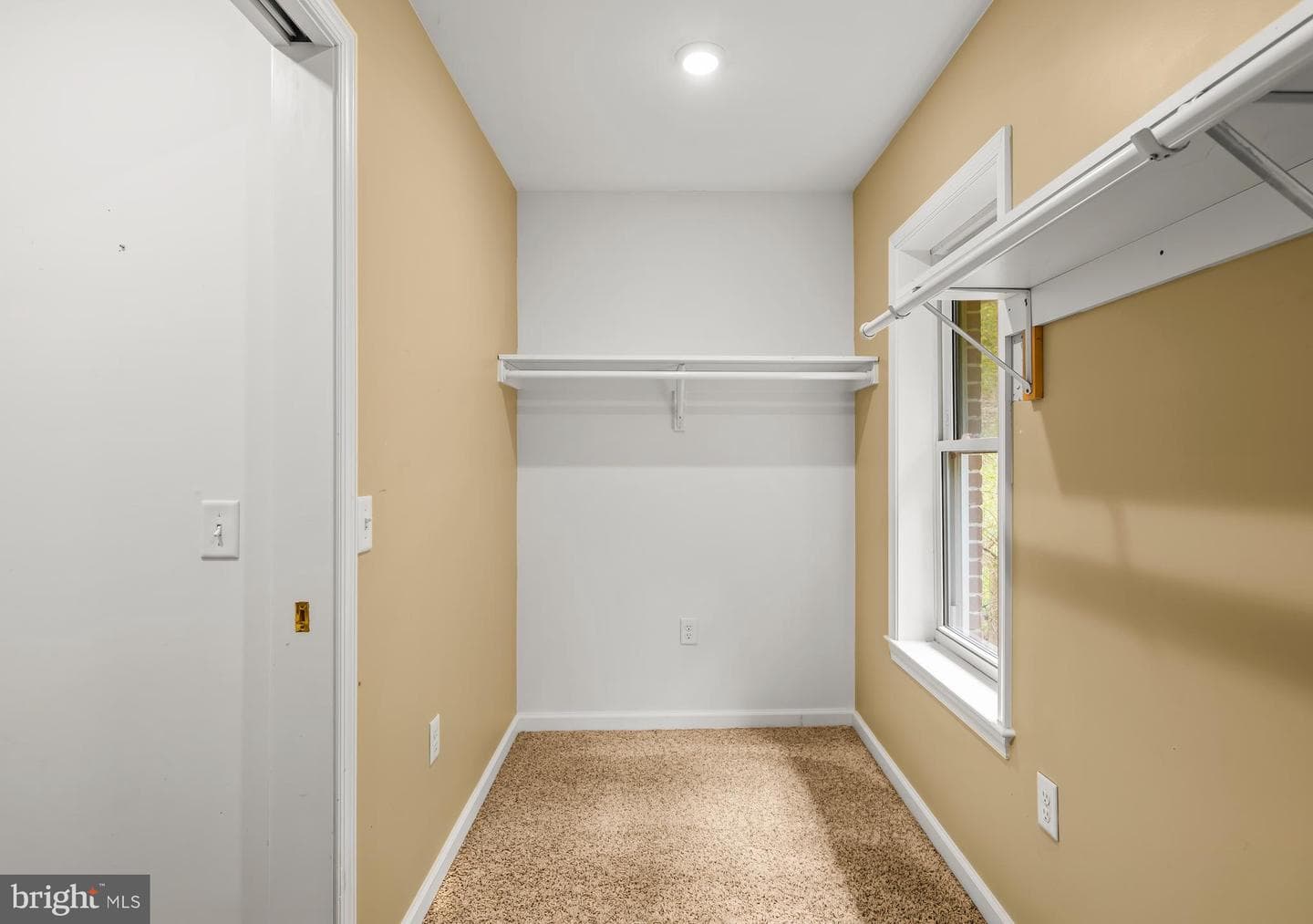 61 Bradley Avenue photo 19