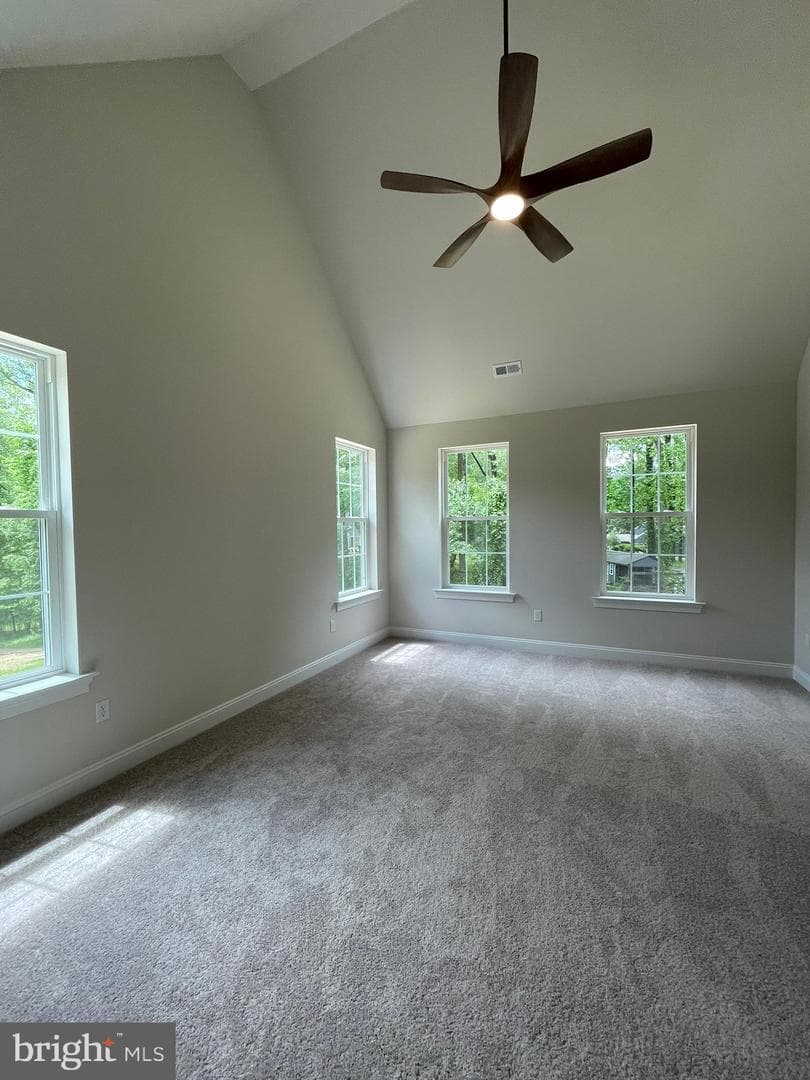 101 Burnt Mill Circle photo 15