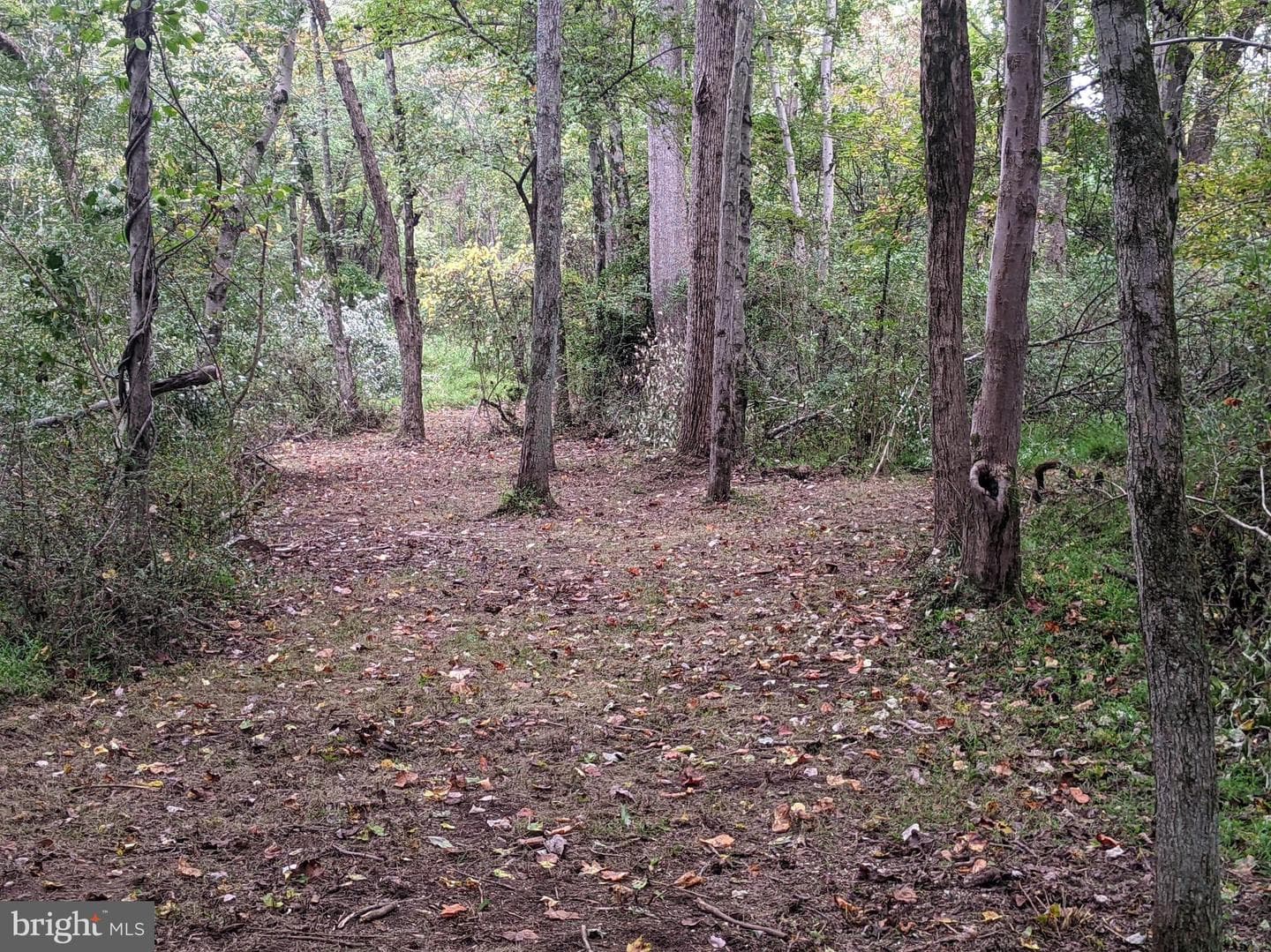 101 Burnt Mill Circle photo 36
