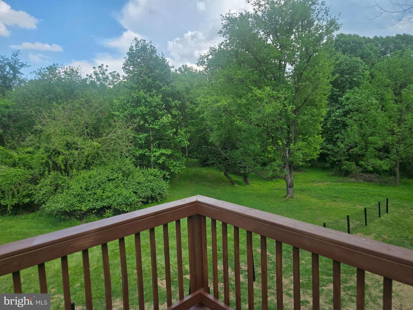 11 Prince Edwards Drive photo 16