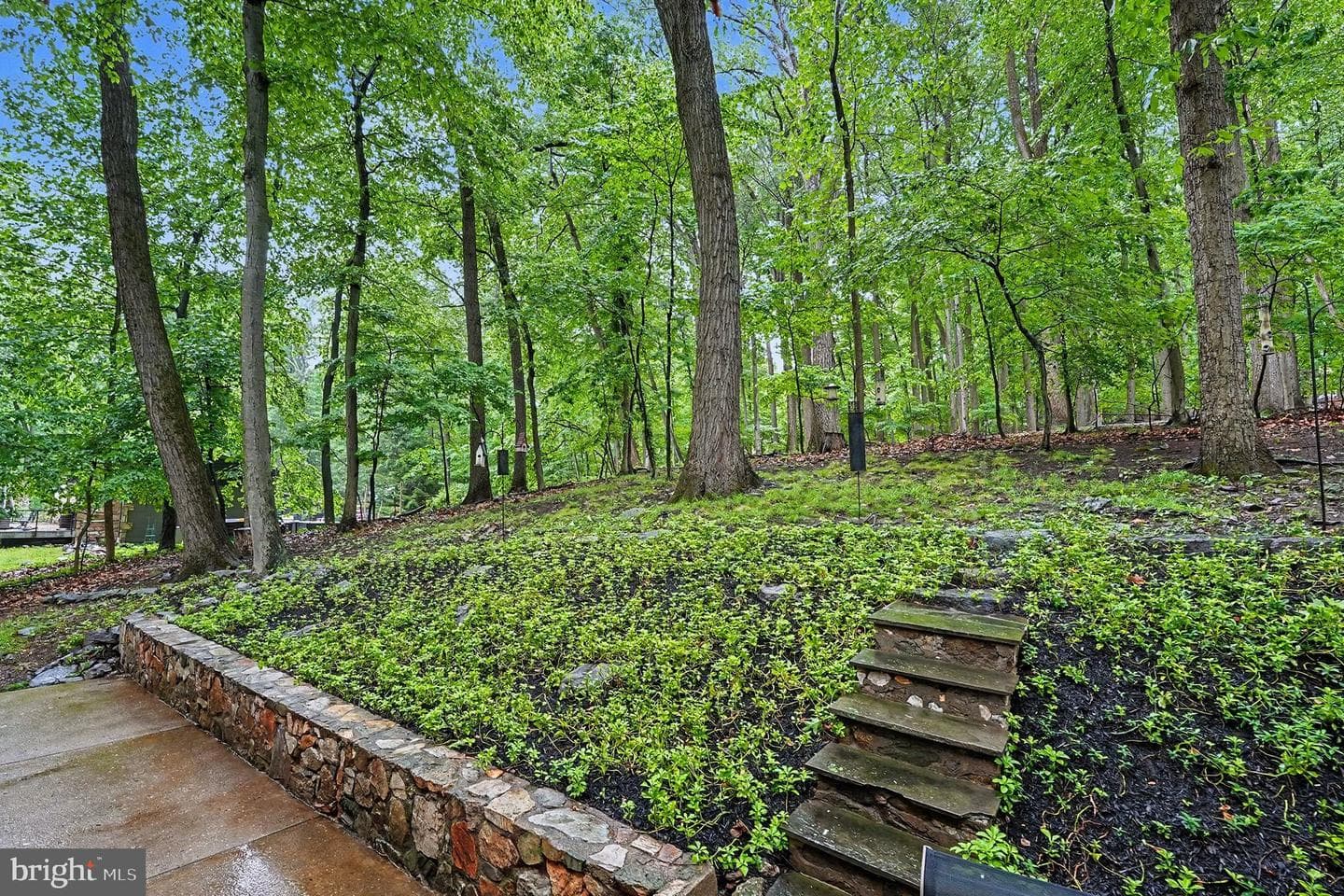 220 Jug Hollow Road photo 31