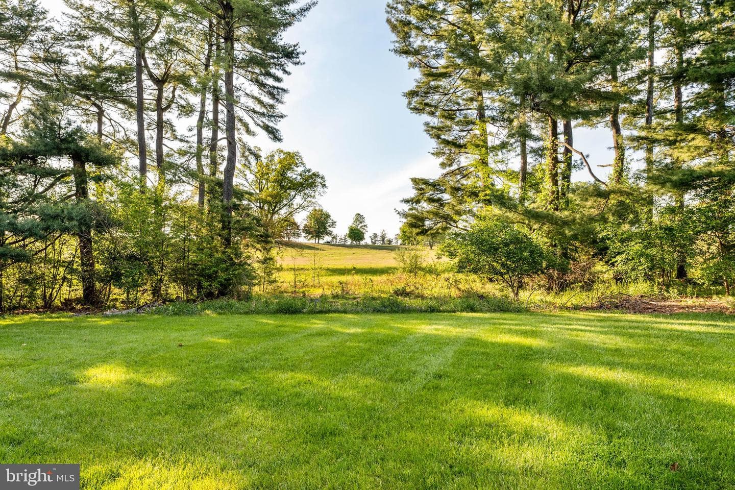 533 Gulph Road photo 38