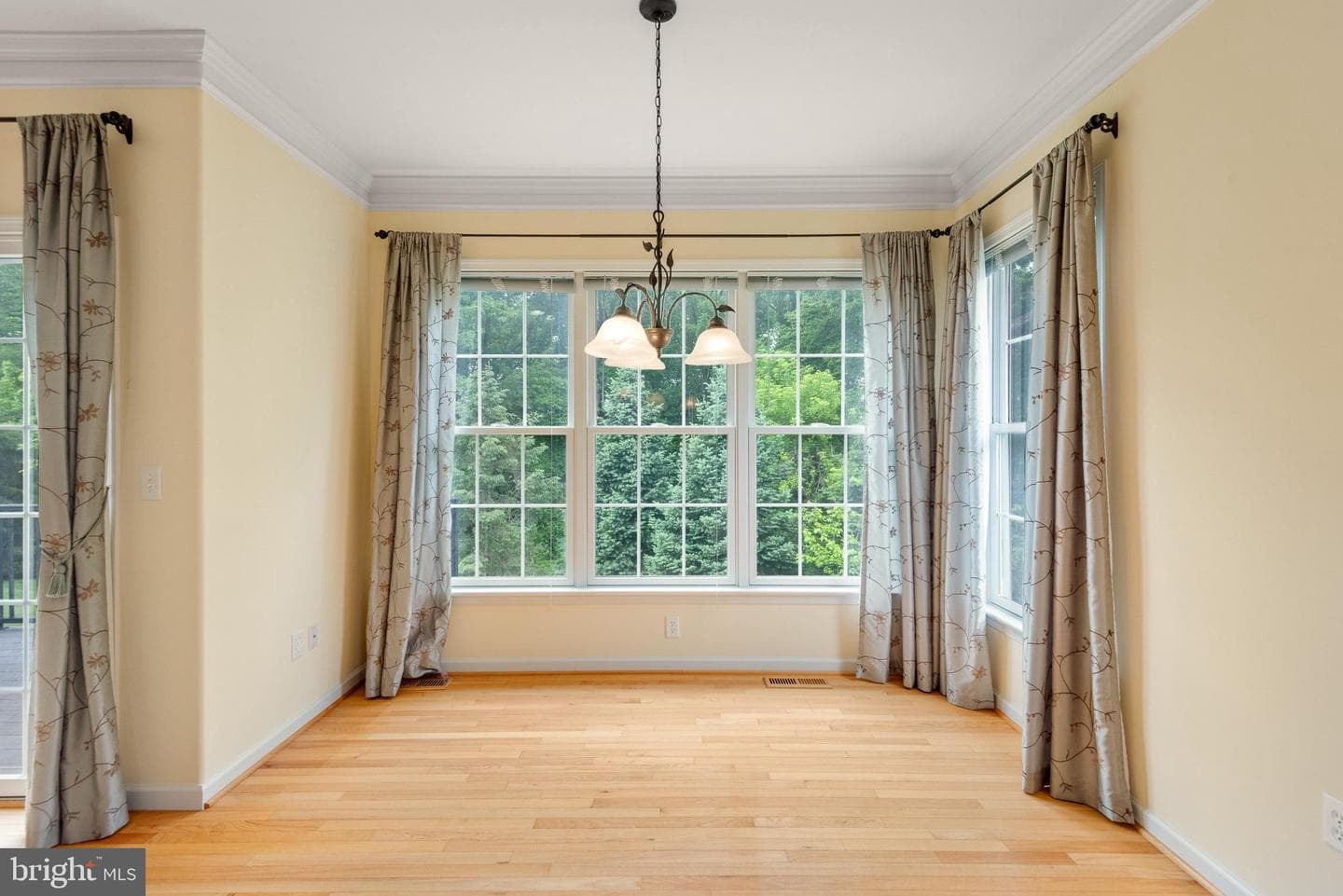 317 Hyde Park Road photo 16