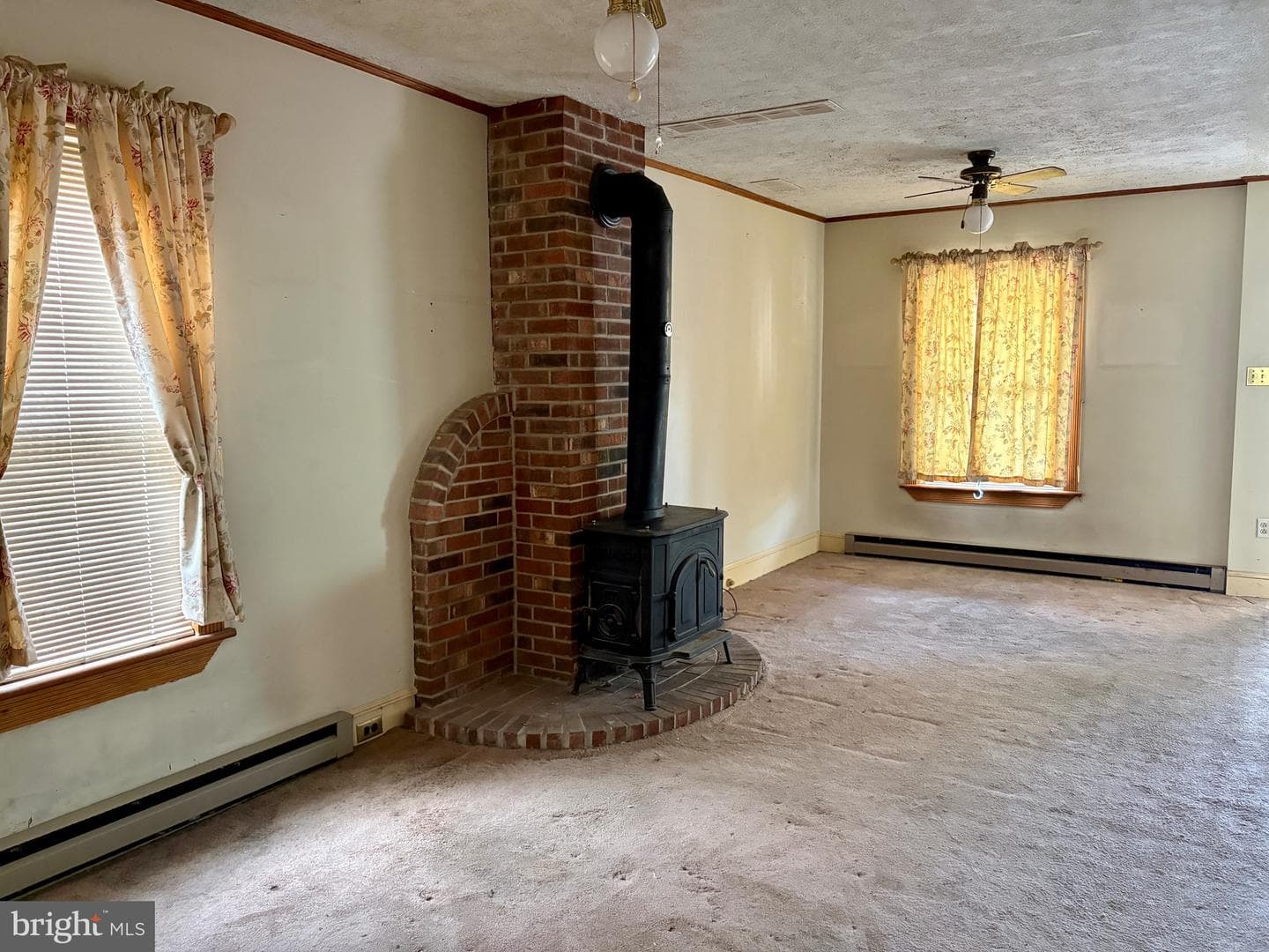 207 Chestnut Street photo 5