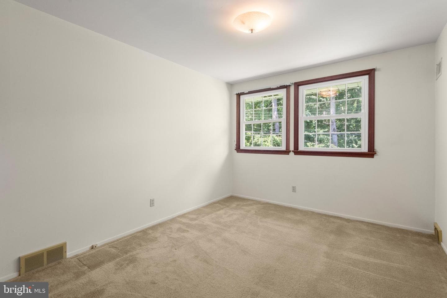 246 Friendship Drive photo 14