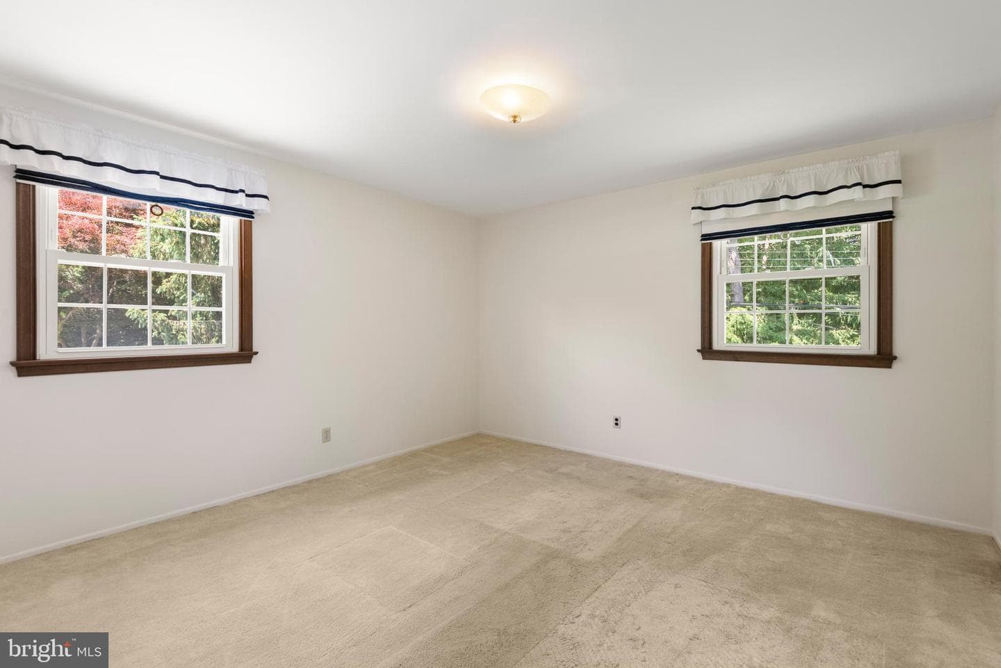 246 Friendship Drive photo 15