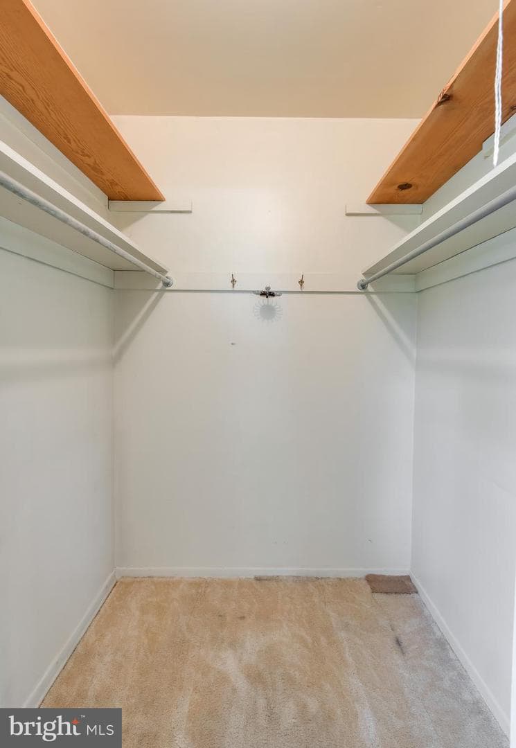 246 Friendship Drive photo 19