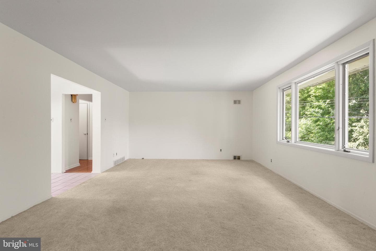 246 Friendship Drive photo 5