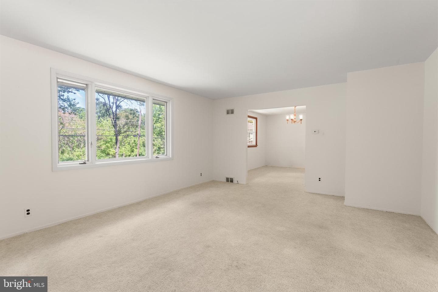 246 Friendship Drive photo 6