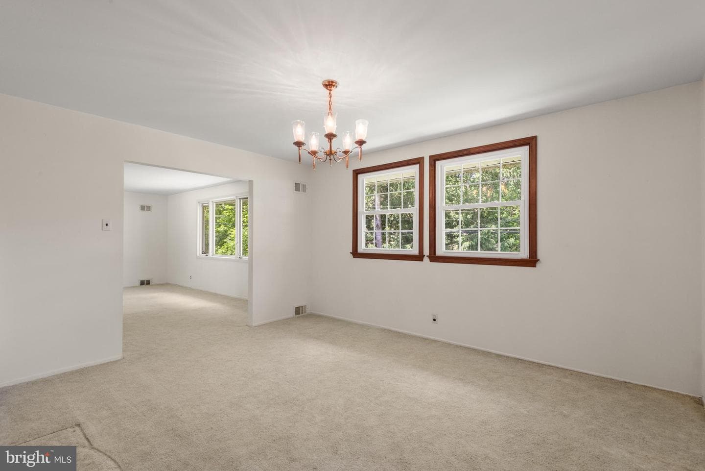 246 Friendship Drive photo 9