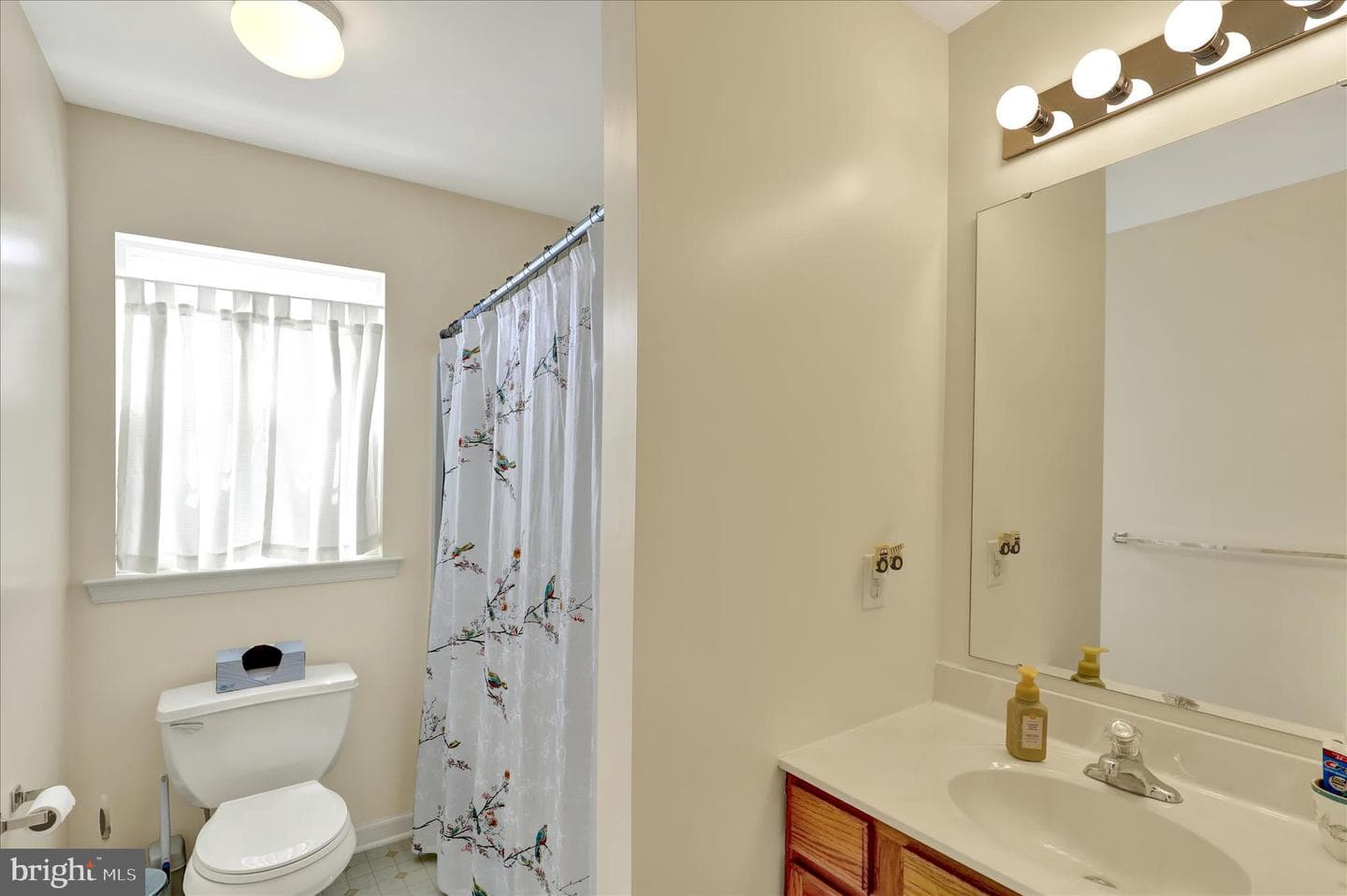 105 Marquis Drive photo 22