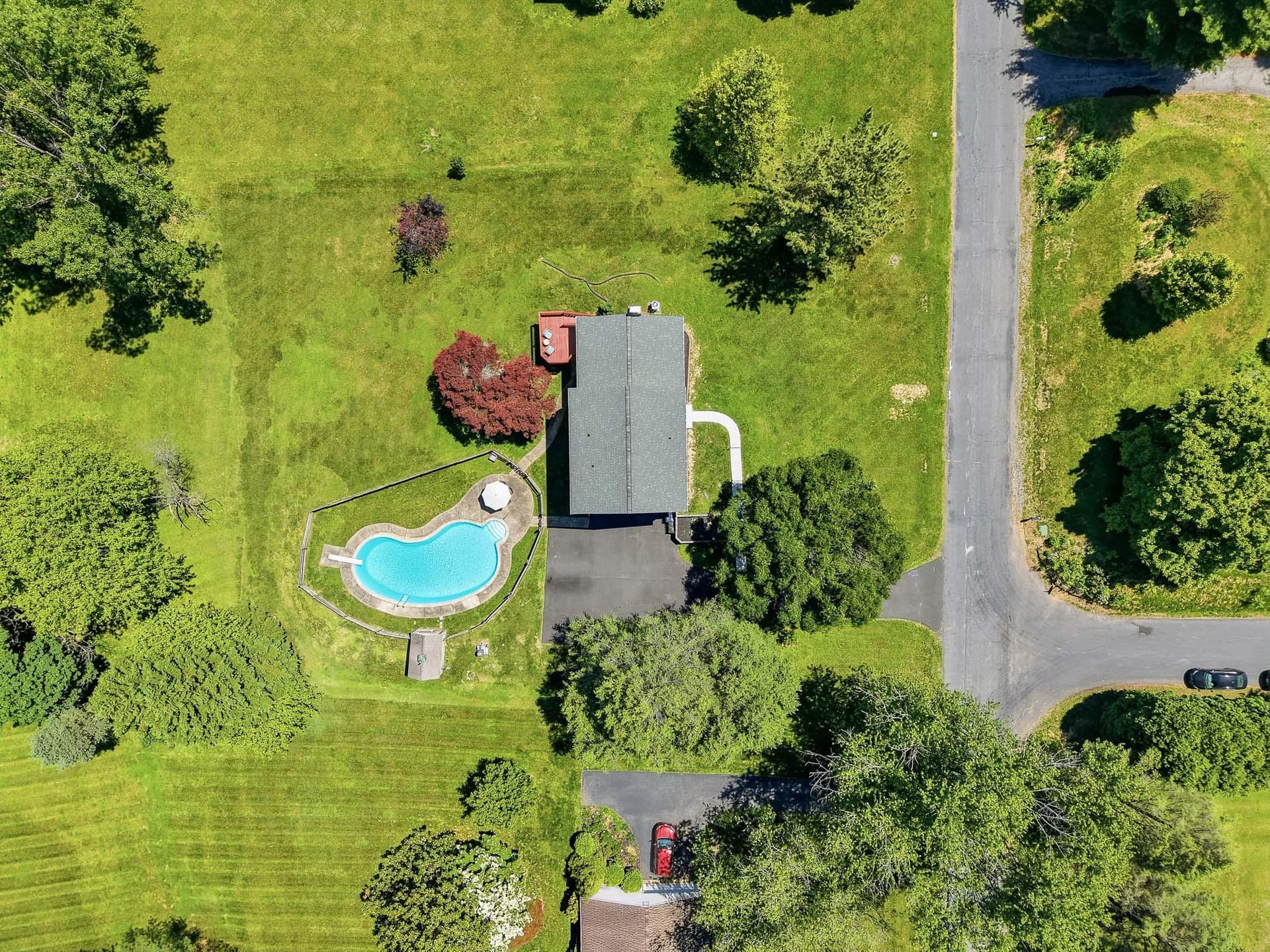 111 Skyline Drive photo 41