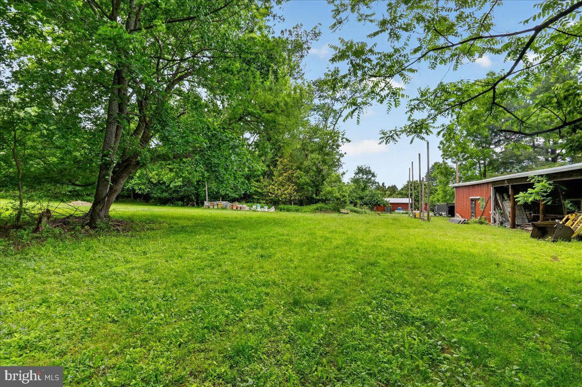 443 Baptist Church Road photo 29