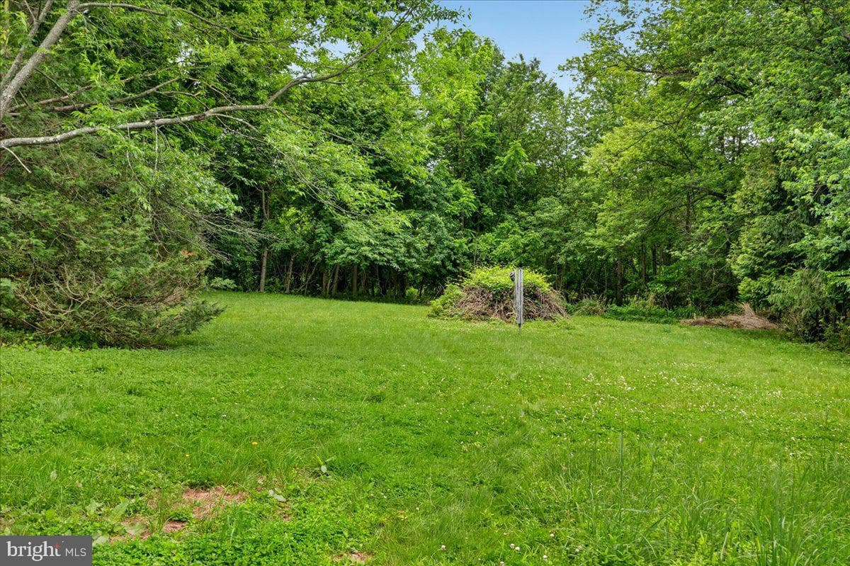 443 Baptist Church Road photo 31