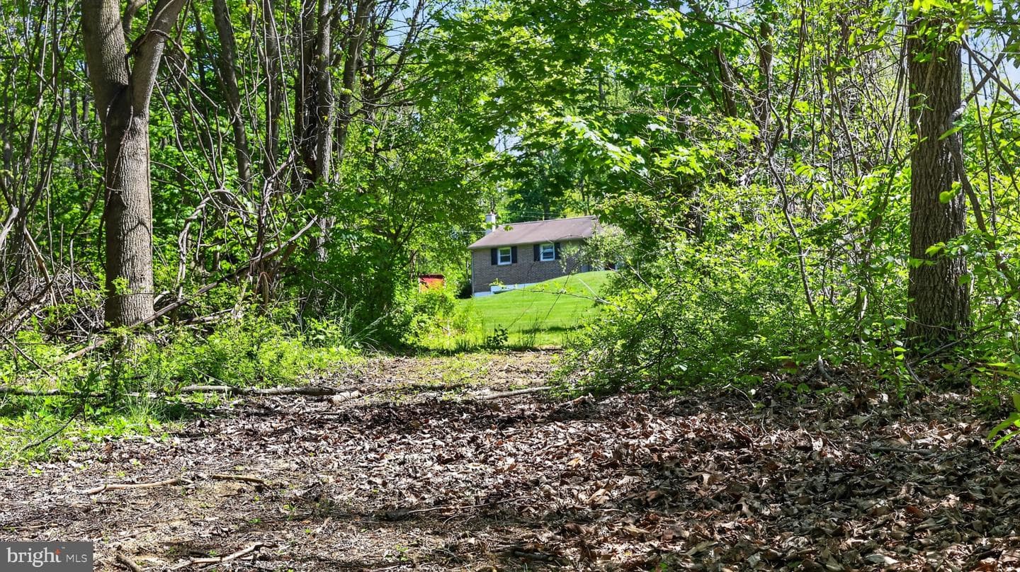 358 Lammey Rd photo 70