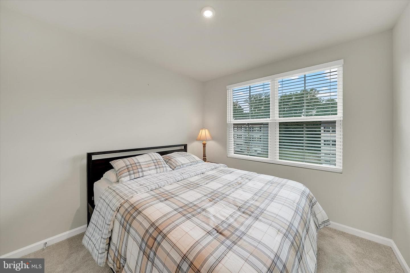 222 Hamilton Lane photo 21