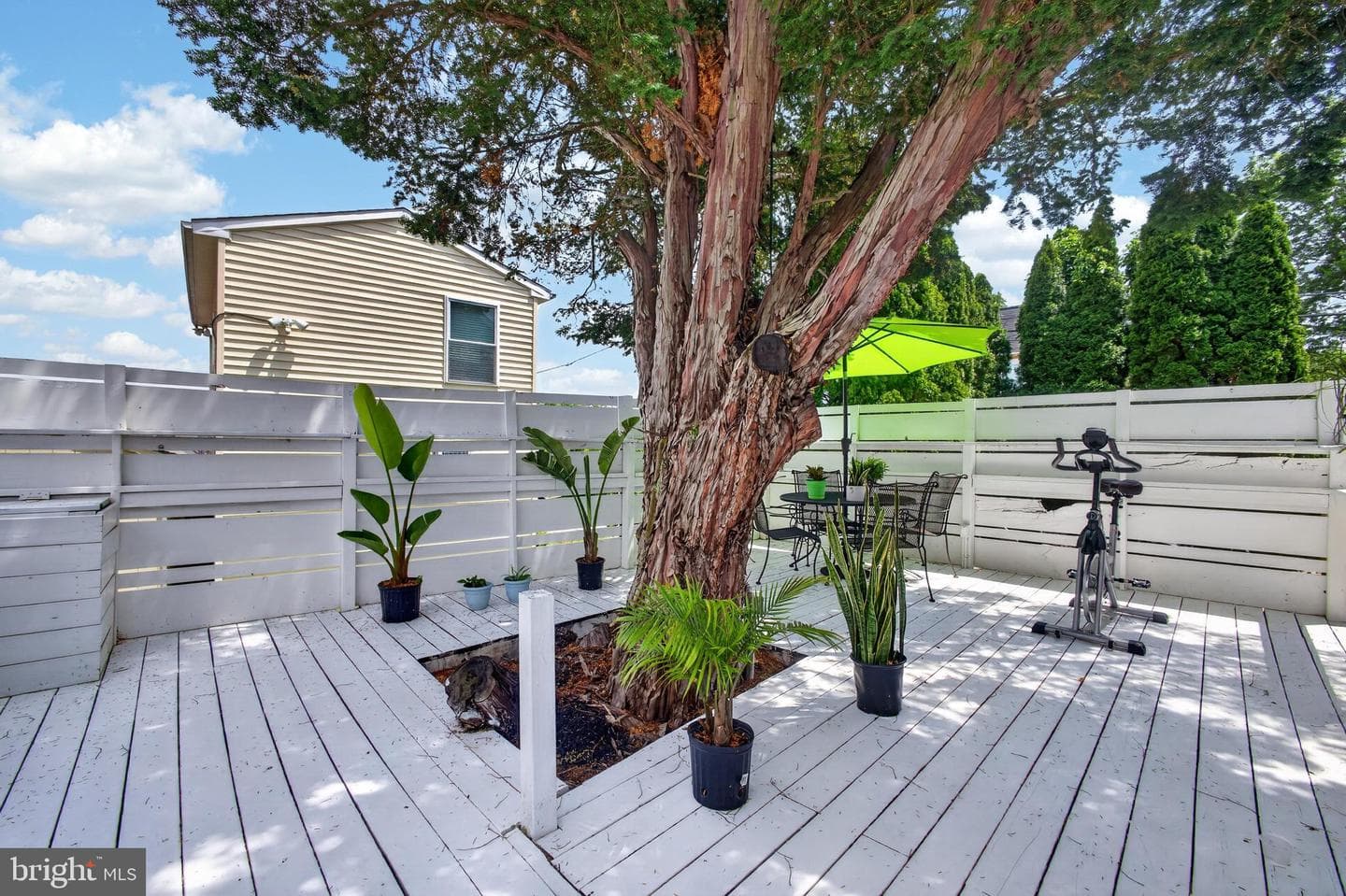 43 Oak Street photo 15
