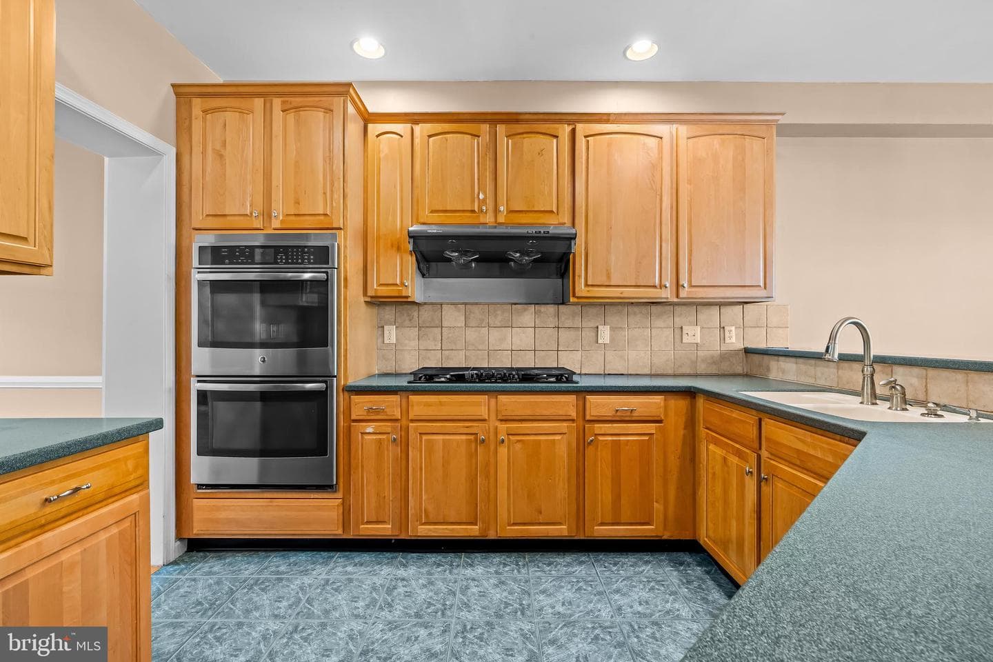 227 Silverbell Court photo 23