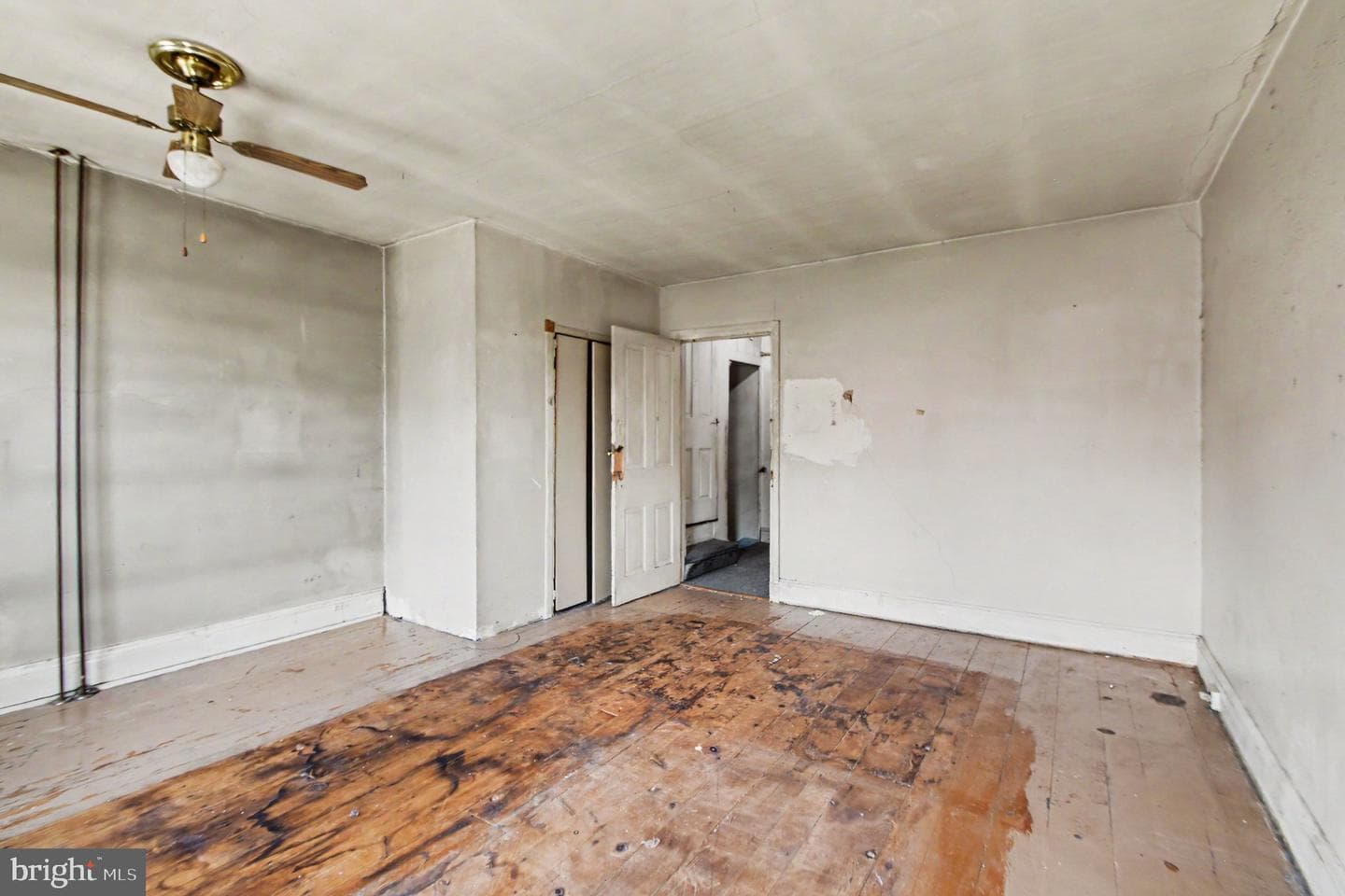 239 Hall Street photo 10