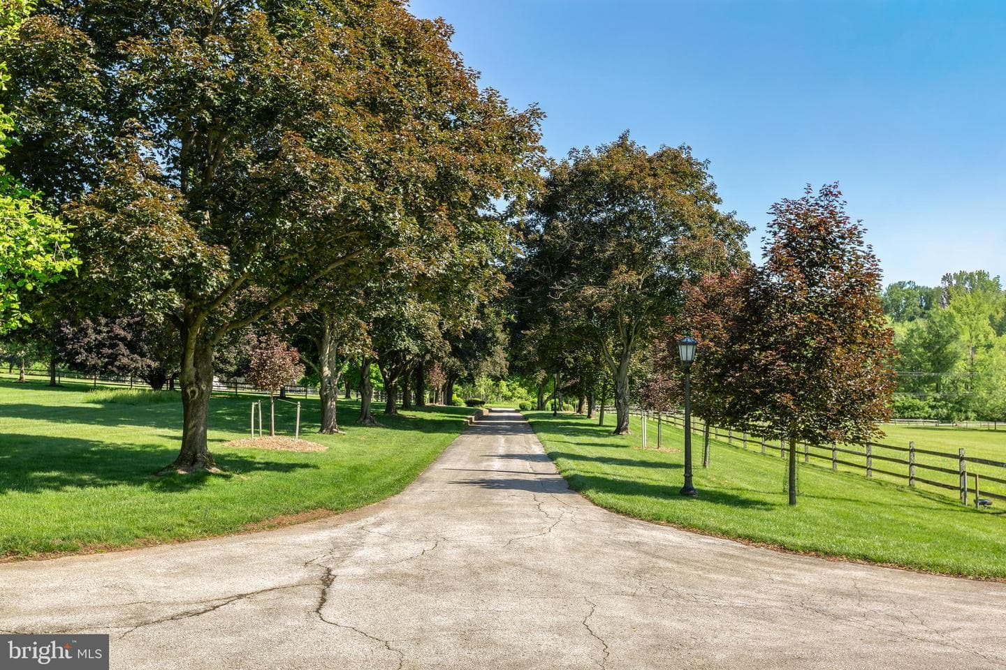137 Davis Road photo 6