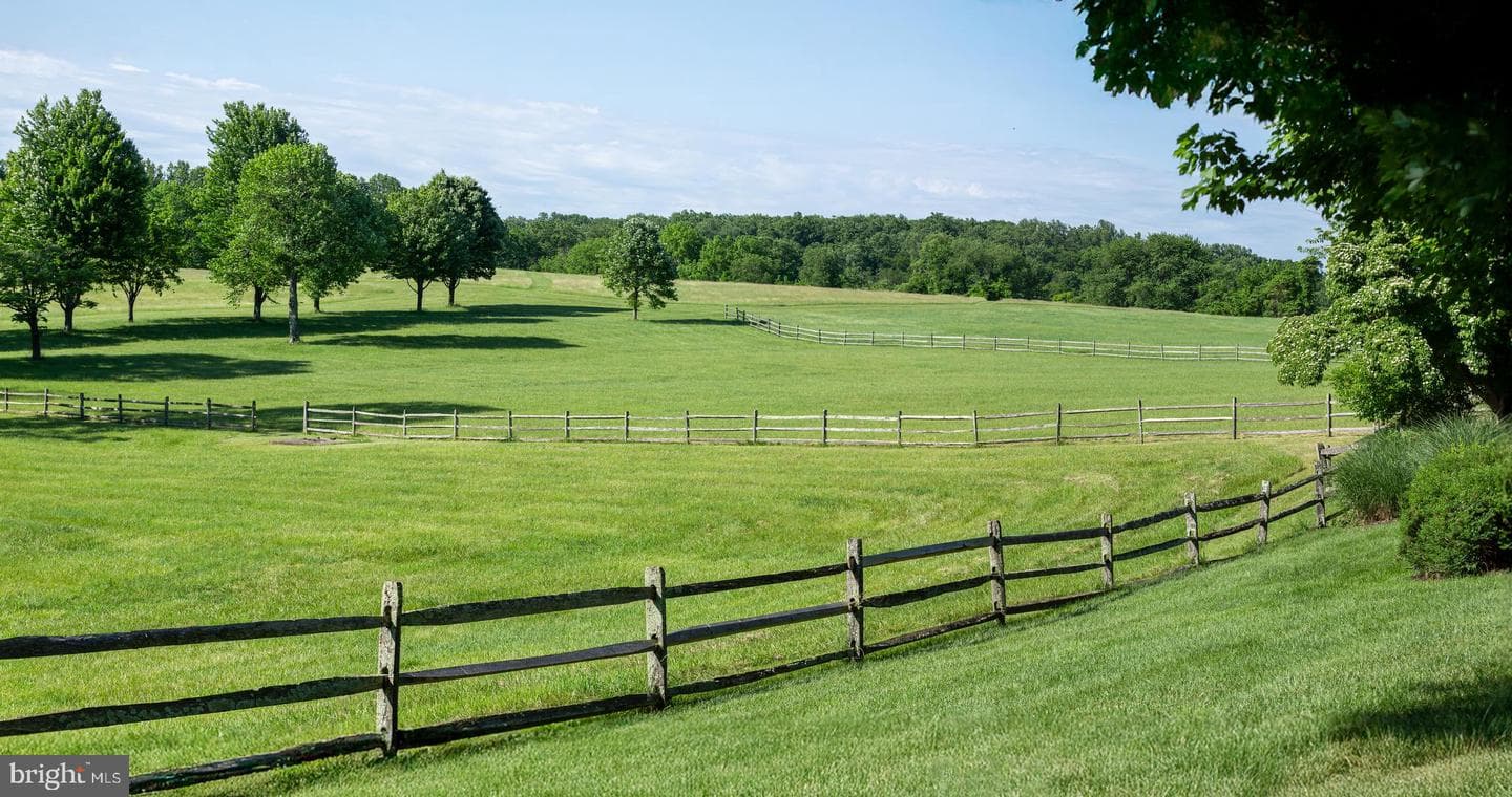 137 Davis Road photo 9