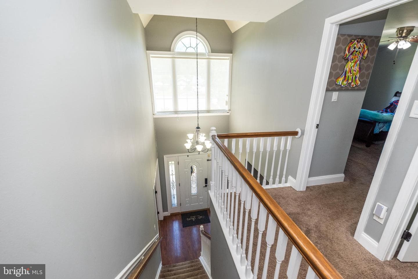 4 Magnolia Court photo 22