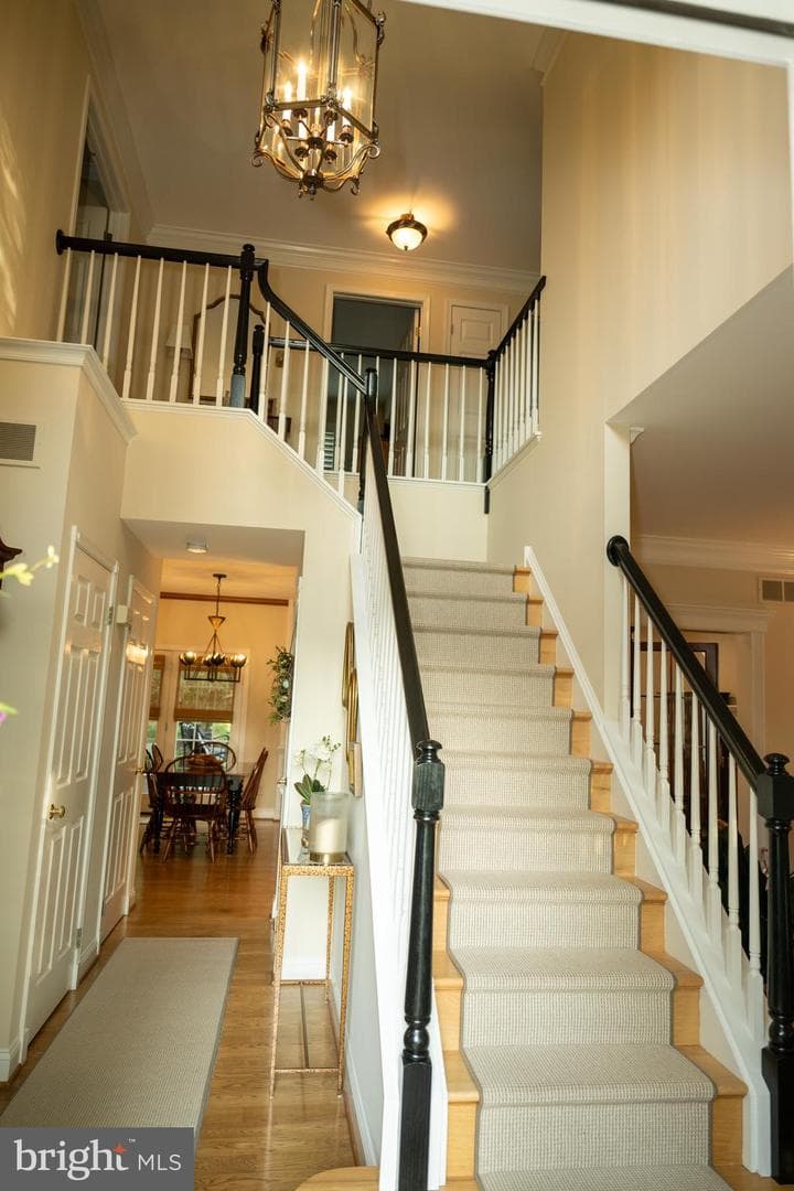 111 Sussex Road photo 11