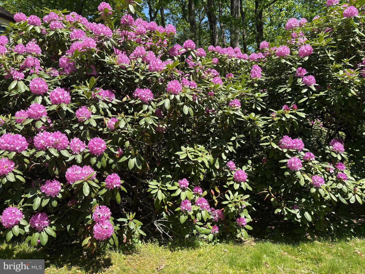 512 Conestoga Road photo 17