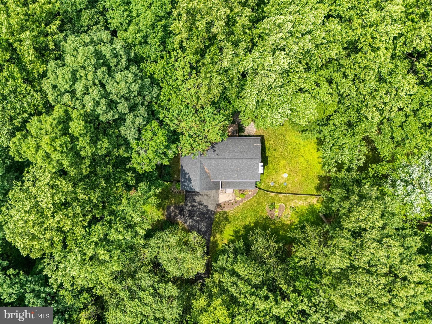 206 Fox Run Lane photo 47