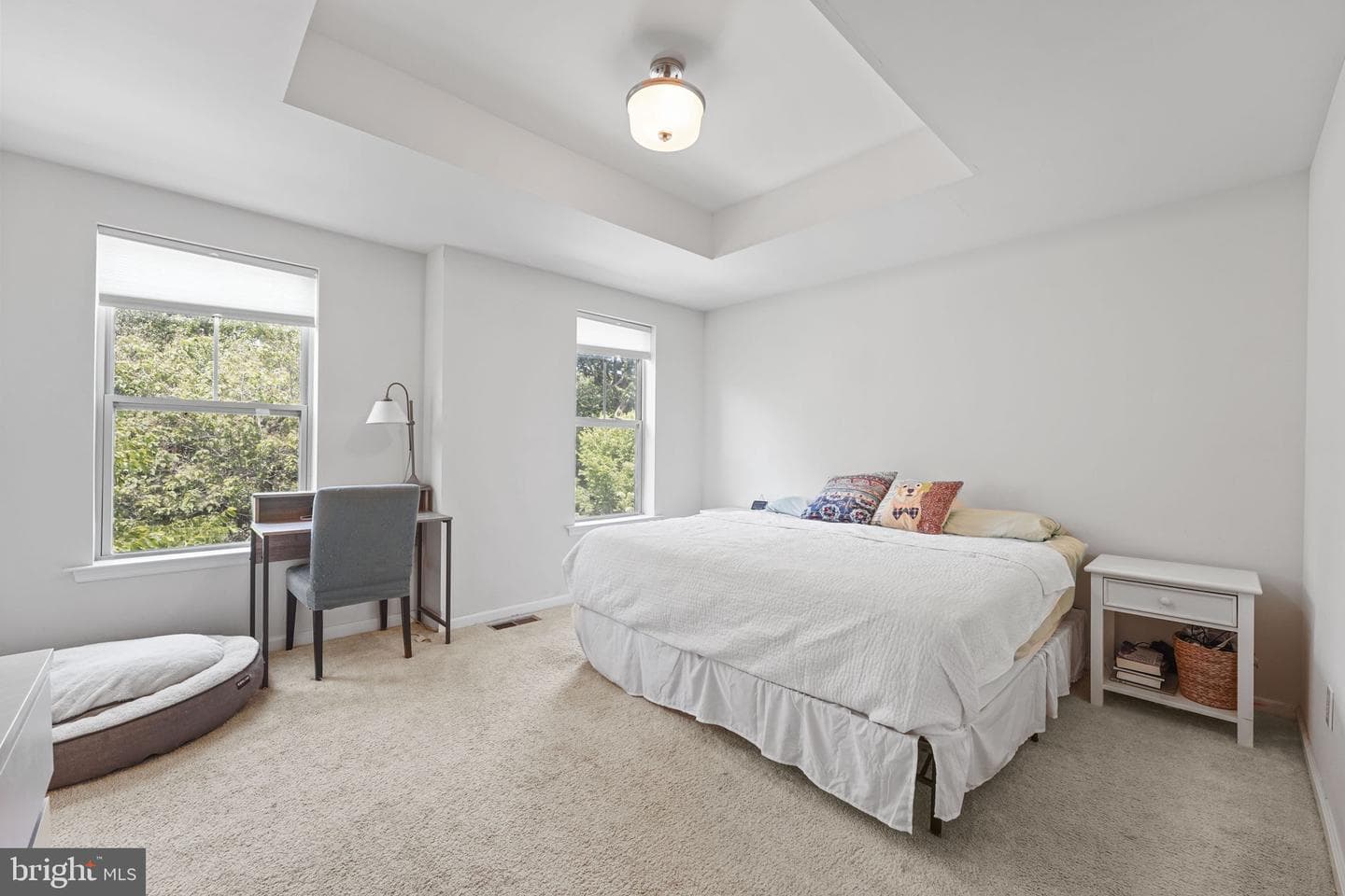 3 Treyburn Drive photo 19