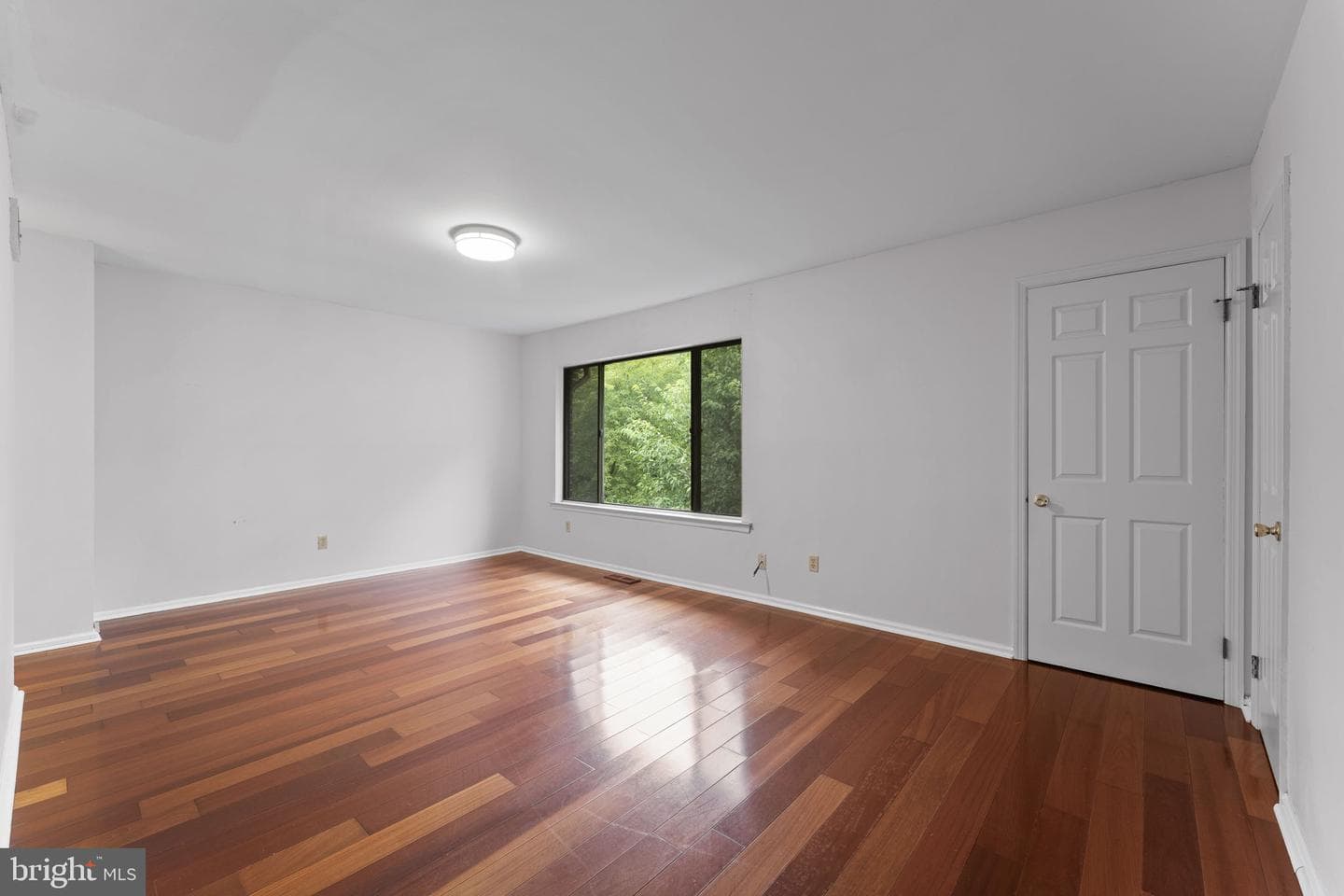 10 Elan Lane photo 21