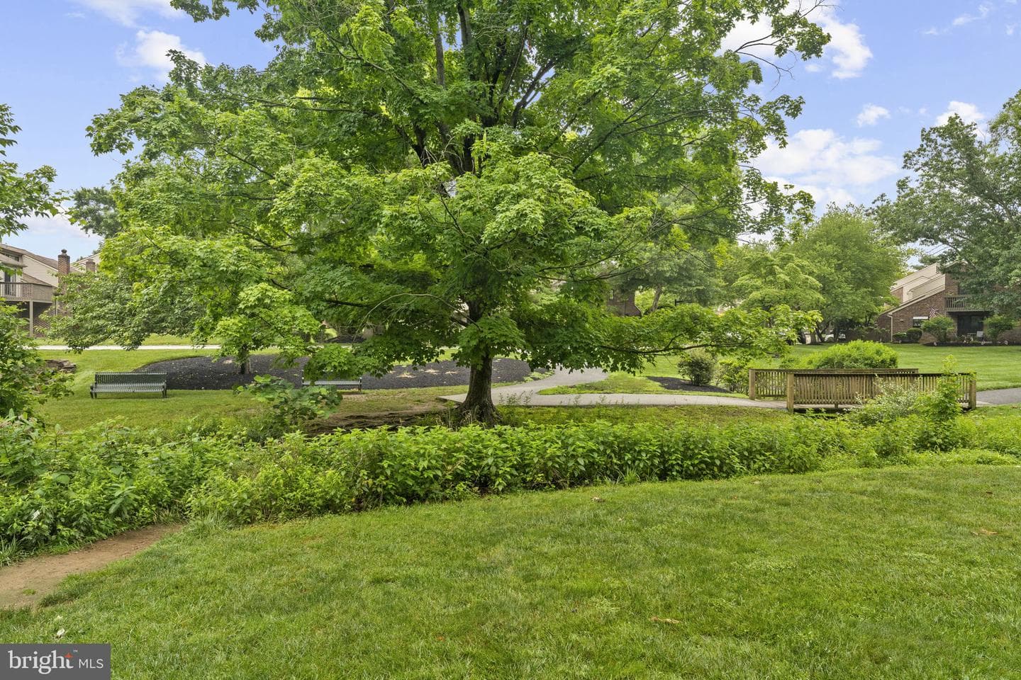 10 Elan Lane photo 36