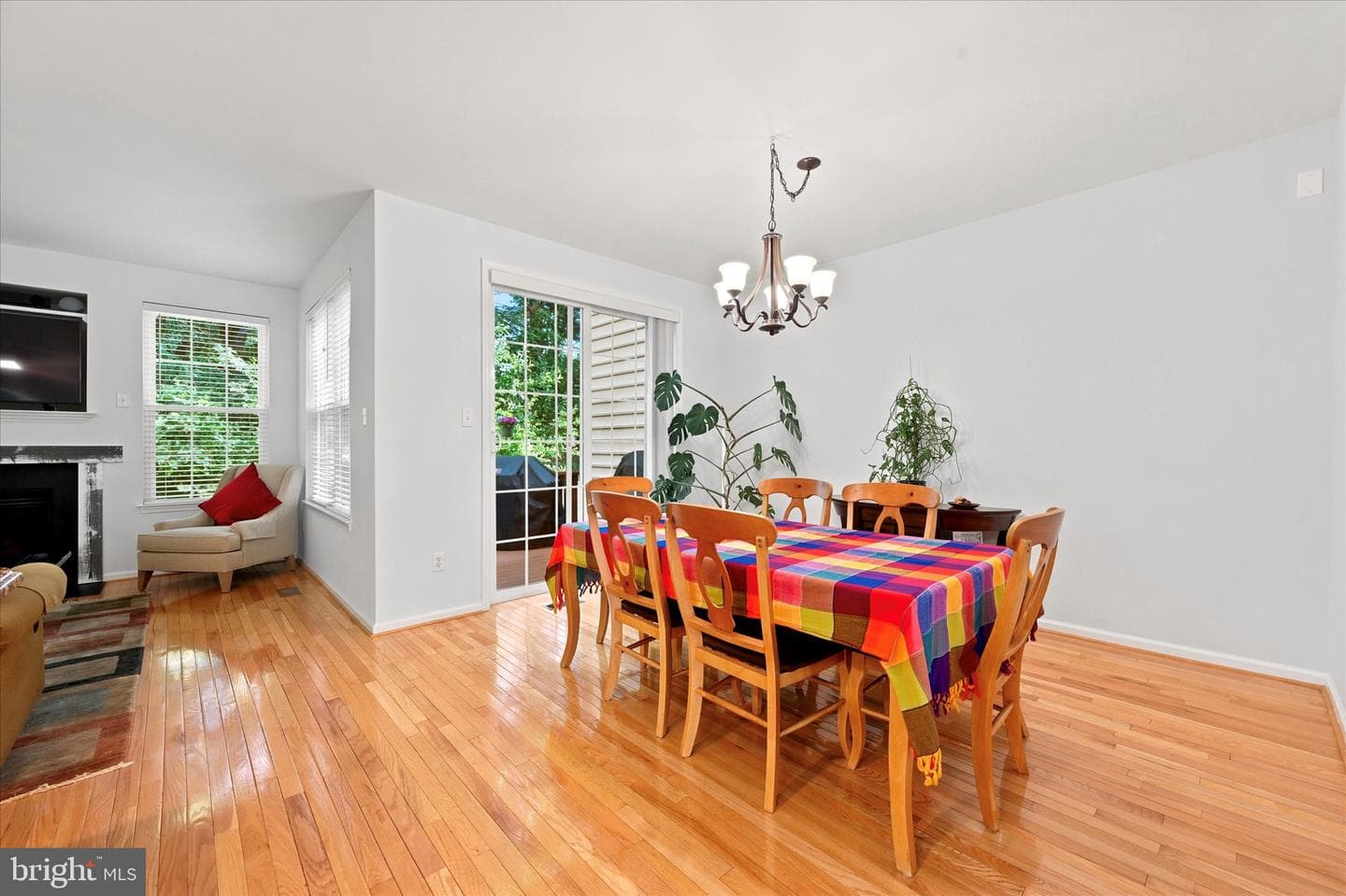 244 Cherry Lane #19 photo 6