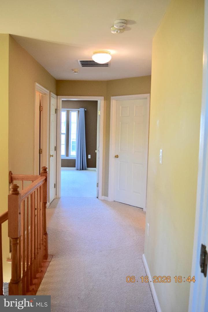 134 Maloney Terrace photo 37