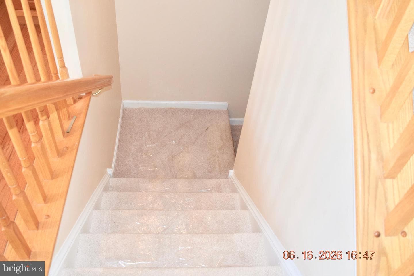 134 Maloney Terrace photo 44