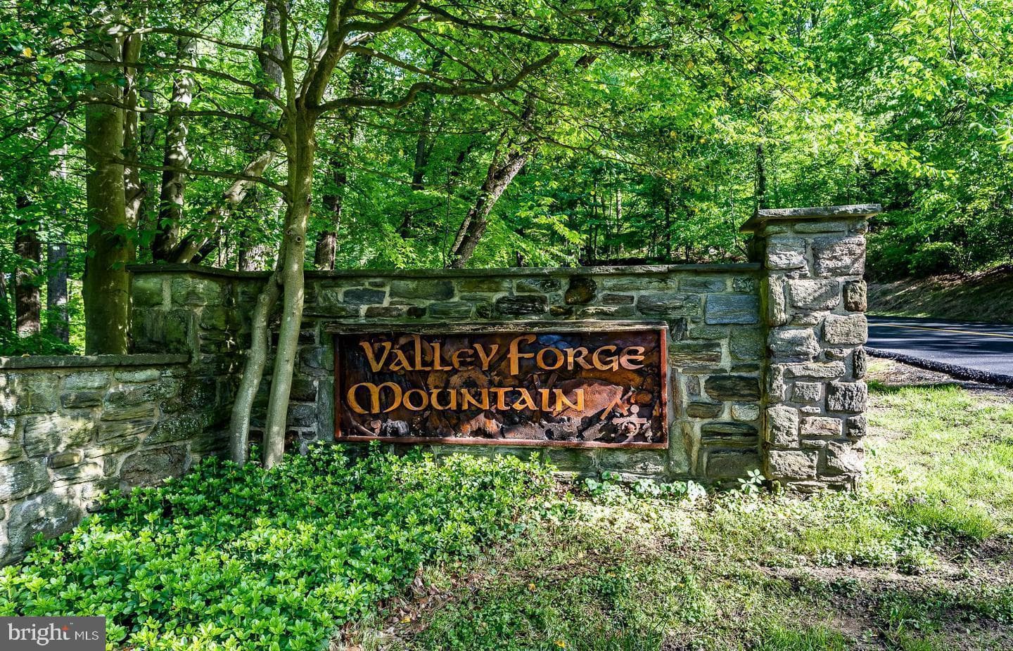 30 Forge Mountain photo 40