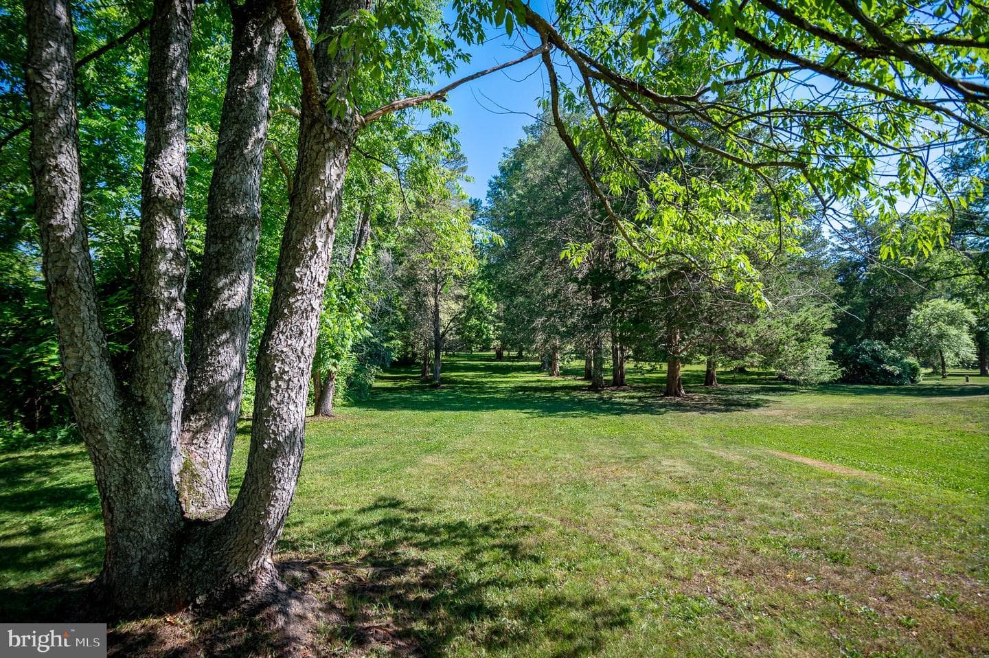 776 Cobb Hill Lane photo 30